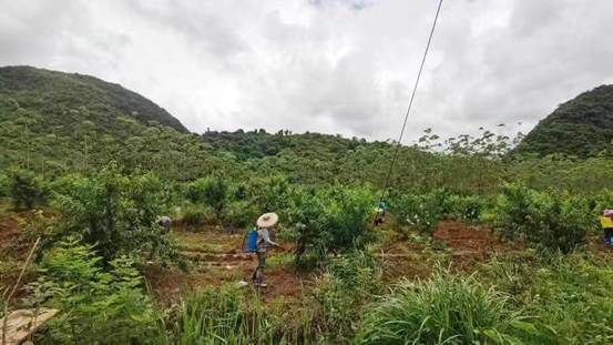 image007.jpg image007.jpg