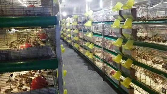 image008.jpg image008.jpg