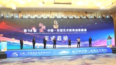 ��14�조��ͭ�ġ��й����������������ɹ�չ������չʾ��ʽ����