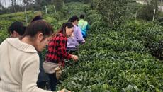 �ǿչٷ���վ��չ�����з��ż��������Ļ�н������